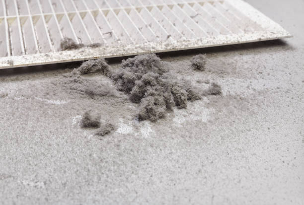 Home Air Vent Cleaning in Elkton, MD